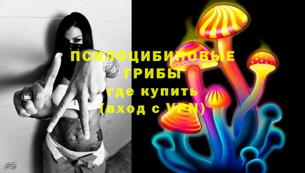 СК Алексин