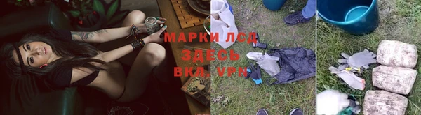 СК Алексин